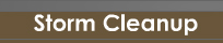 Storm Cleanup