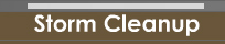 Storm Cleanup