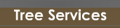 Tree Services