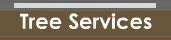 Tree Services